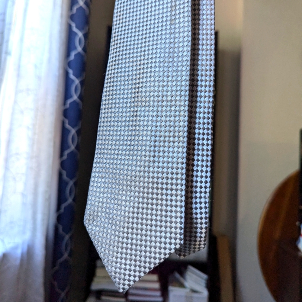 Striking Ermenegildo Zegna Silver Tie